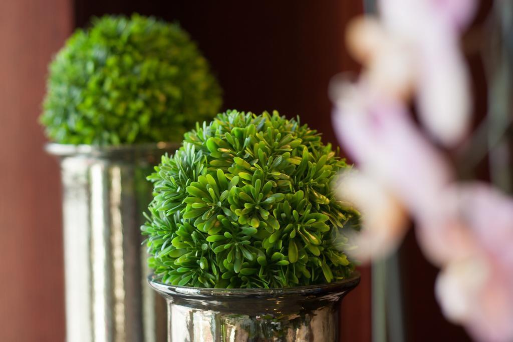 Xavin Wellness Hotel & Restaurant Harkány Zewnętrze zdjęcie